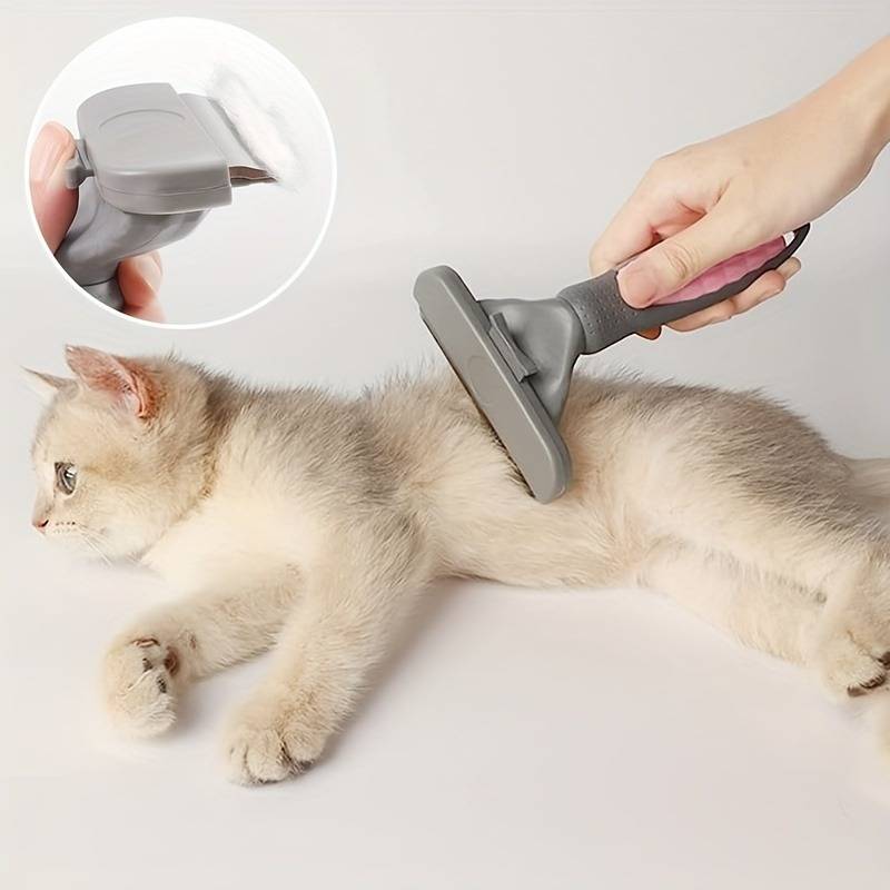 Purrify™ | Radiant Coats Without Stress