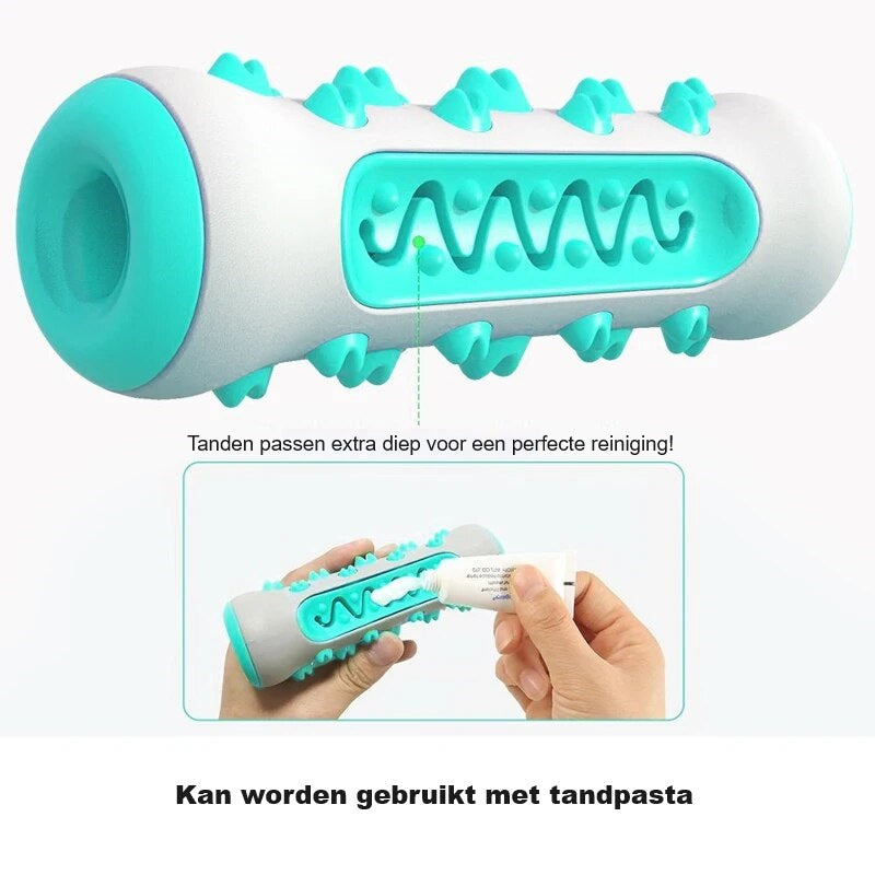 BrushBuddy™ | Healthy Teeth for Your Dog