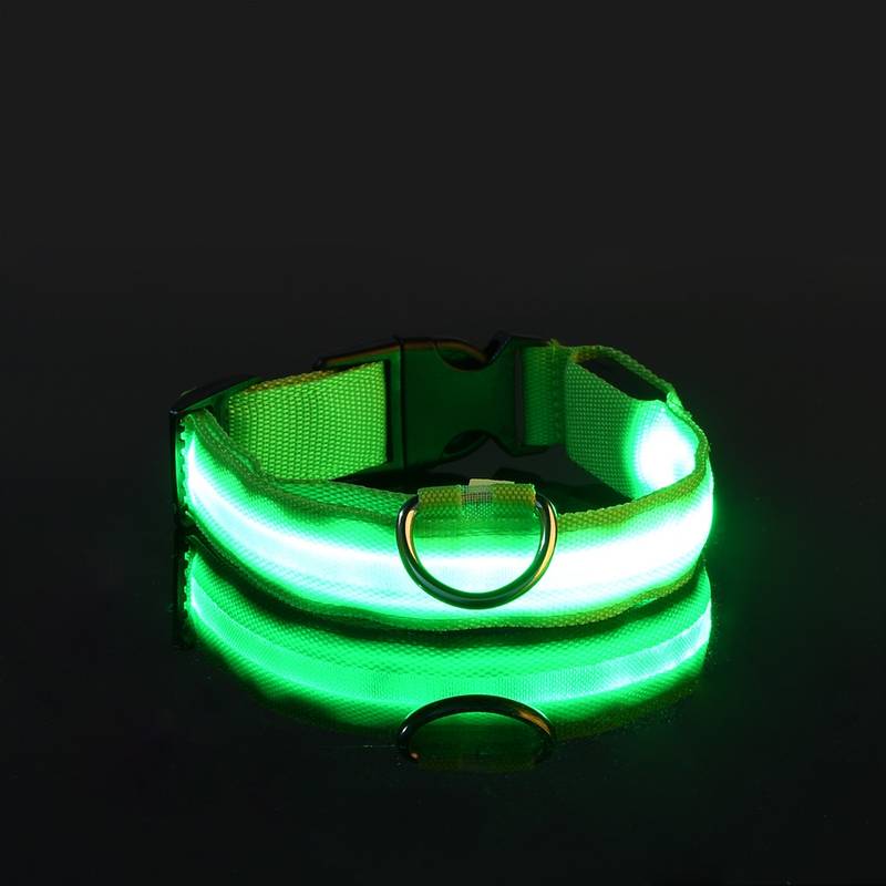 GlowDog™ | Reduce Anxiety About Collisions