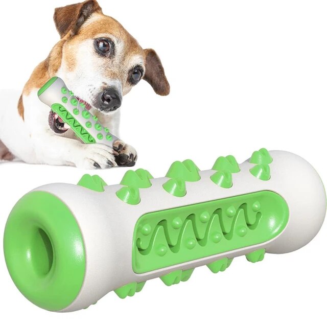 BrushBuddy™ | Healthy Teeth for Your Dog