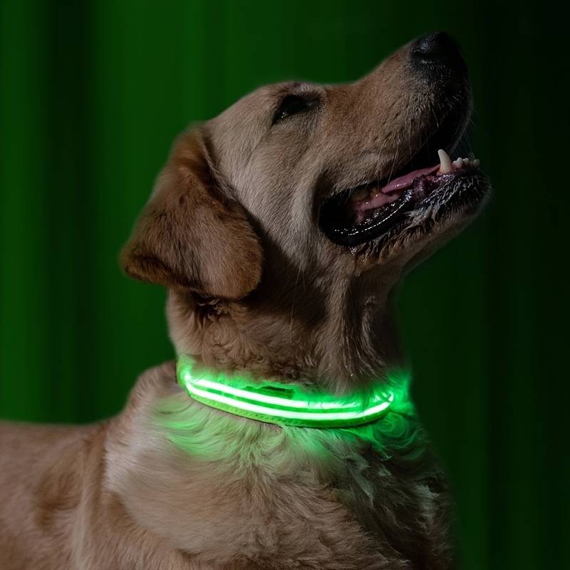 GlowDog™ | Reduce Anxiety About Collisions