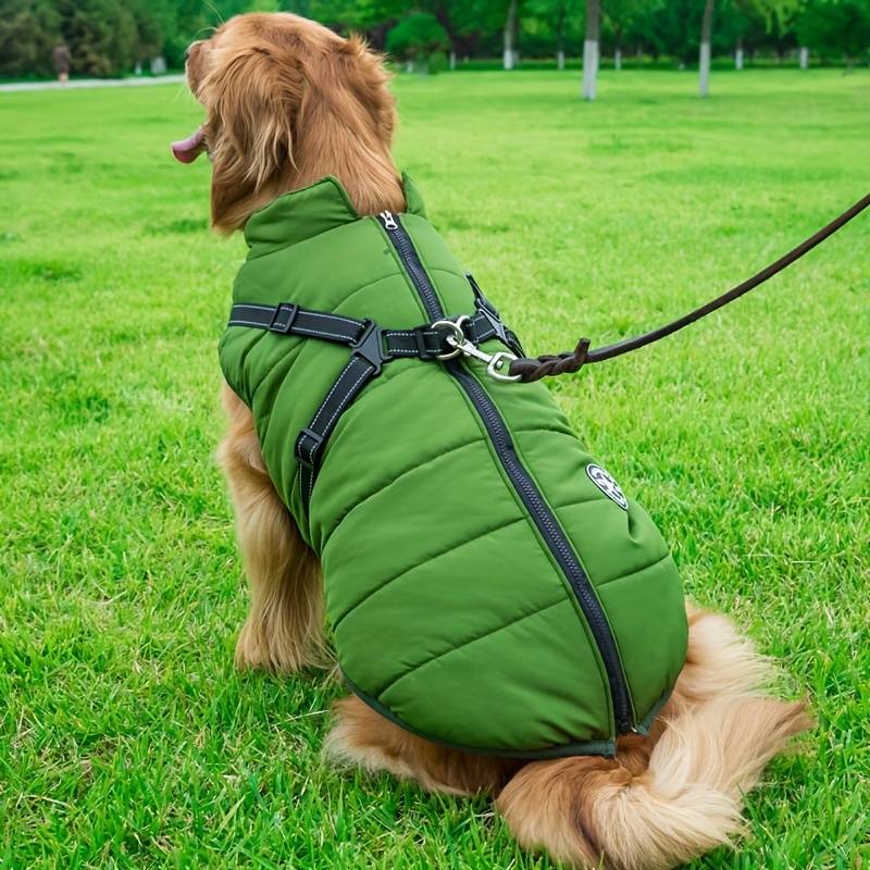 PawsDry™ | Keep Your Dog Warm and Dry
