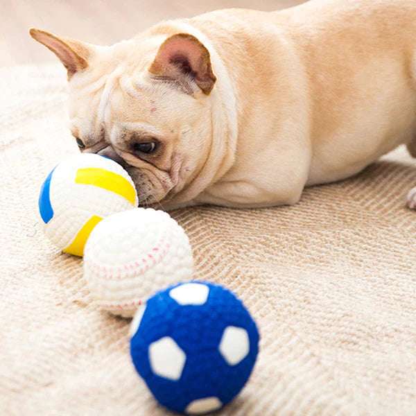 BiteBlitz™ | Chew Toy for Dogs