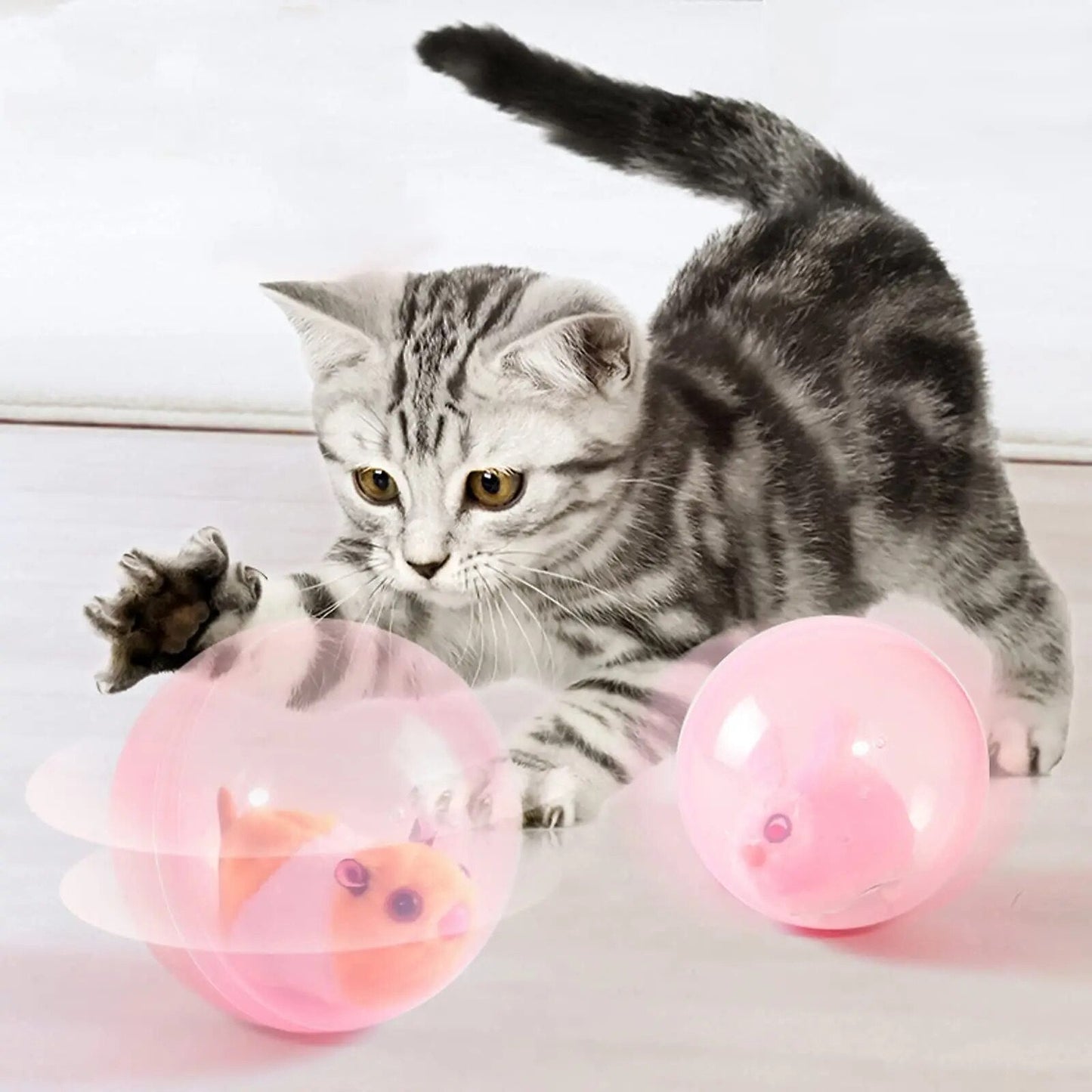 ZoomZing™ | Interactive Ball for Pets