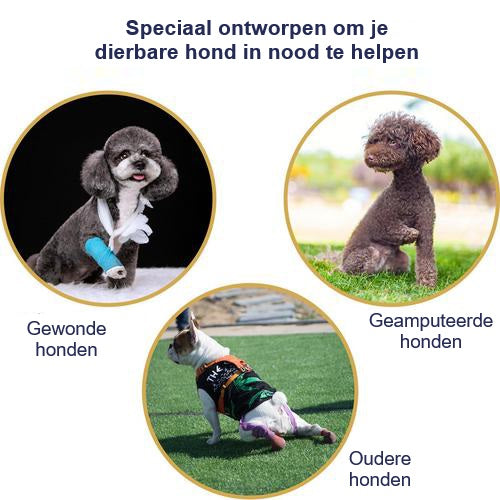 LiftHound™ | Rehabilitation and Recovery Support Harness