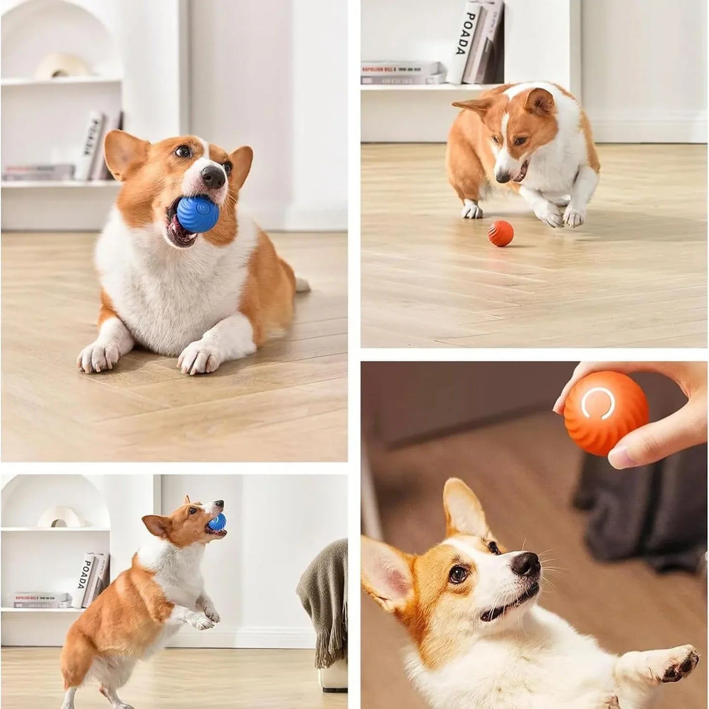 Furbounce™ | Prevent Boredom and Damage to Furniture