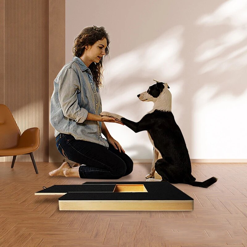 Nailscape™ | Prevent Furniture Damage and Keep Nails Healthy