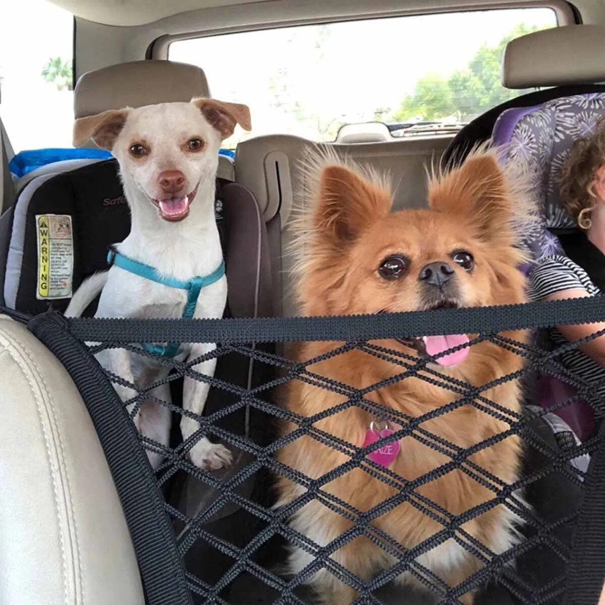 PetBarrier™ | For a Worry-Free Journey