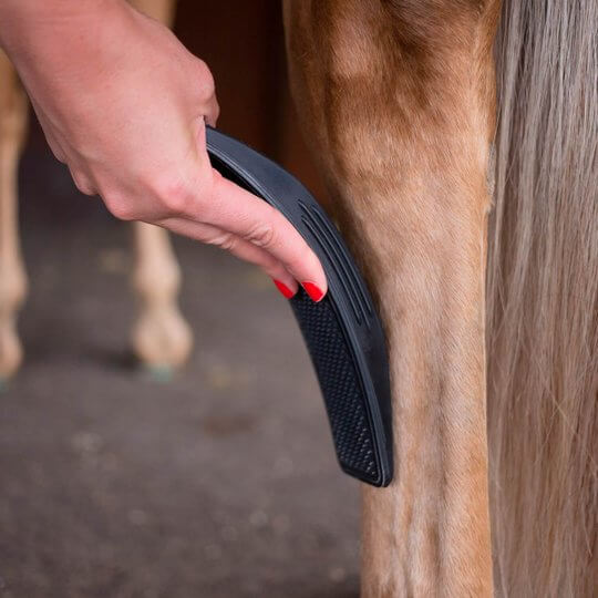 HaloHorse™ | 6-In-1 Horse Brush
