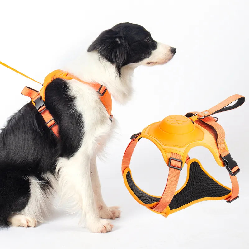 SmartWalk™ | No more stress from pulling dogs