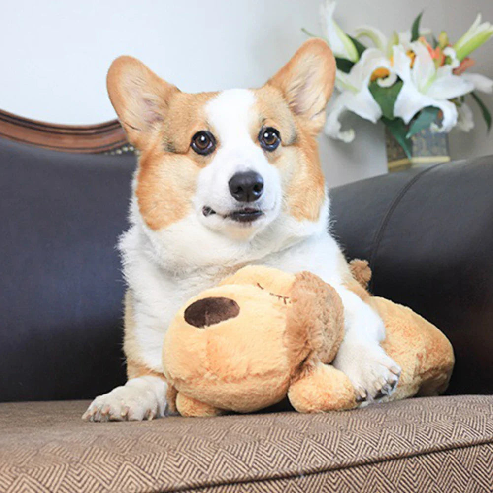 CuddleBuddy™ | For Anxiety, Barking, and Loneliness