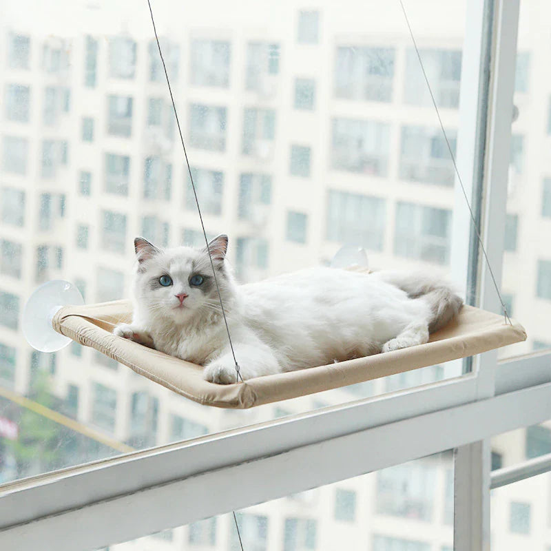 PurrVibes™ | Wunderbar gemütlich und behaglich