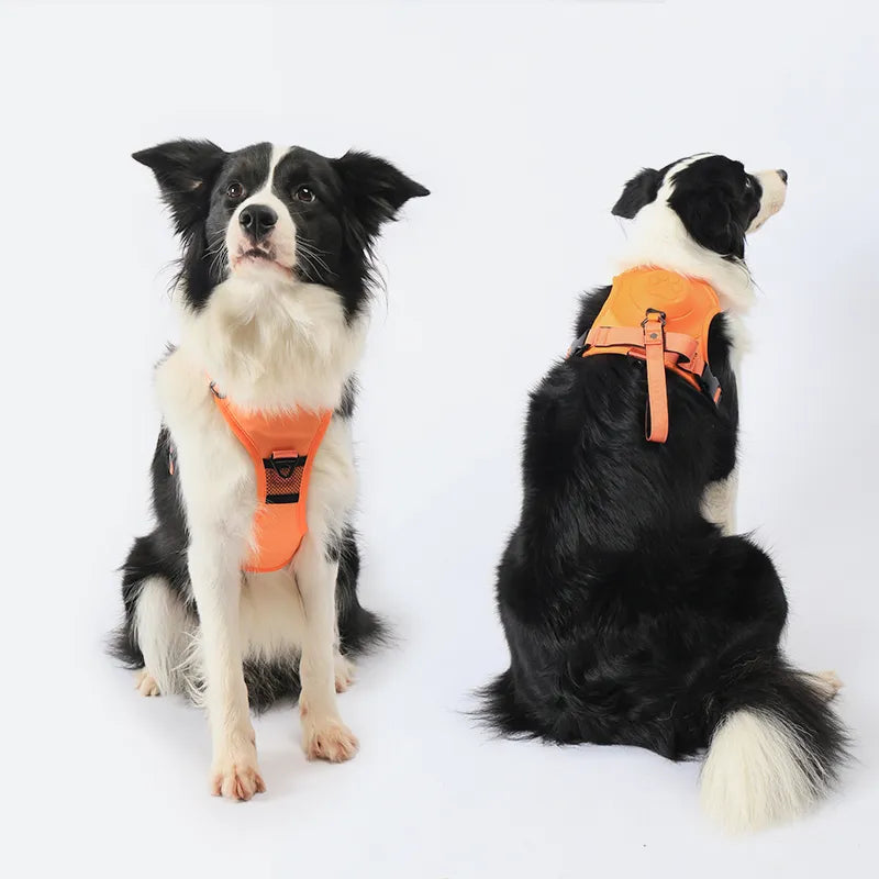 SmartWalk™ | No more stress from pulling dogs