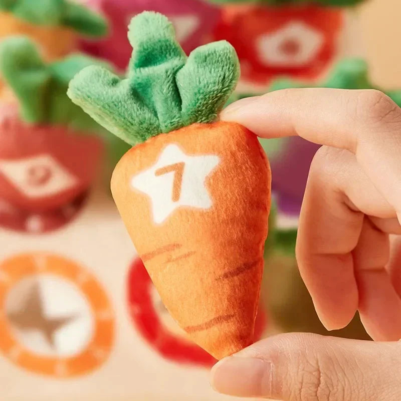 Sensory Carrots – Feeling & Picking - Sensory Toys