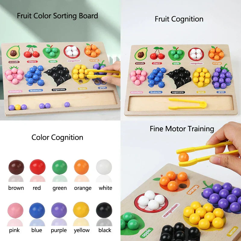 Toddler Clips™ - Fruit & Shape Match - Sorting game