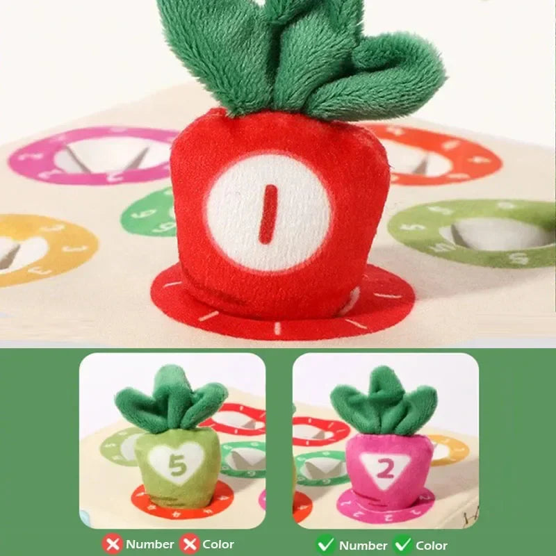Sensory Carrots – Feeling & Picking - Sensory Toys