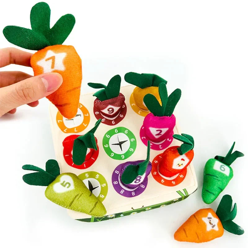 Sensory Carrots – Feeling & Picking - Sensory Toys