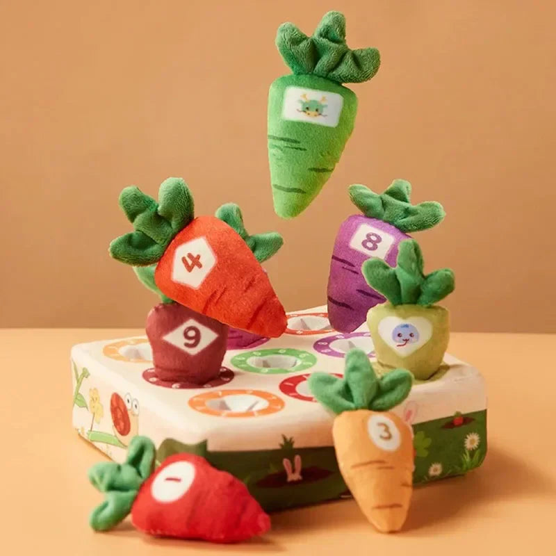 Sensory Carrots – Feeling & Picking - Sensory Toys