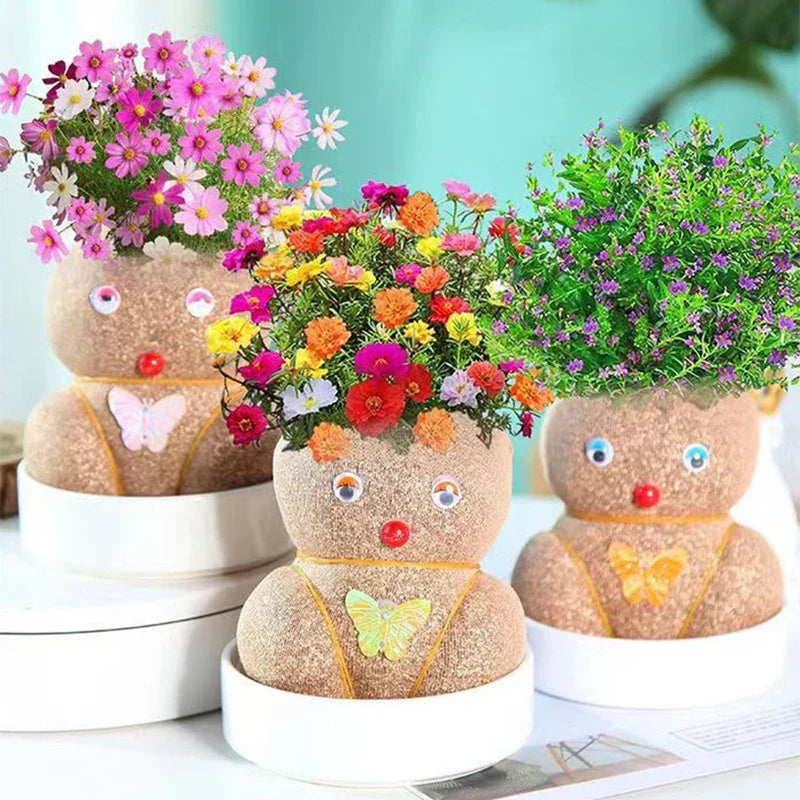 Figure Plants™ - Learn to care for plants - Home Decoration Plants