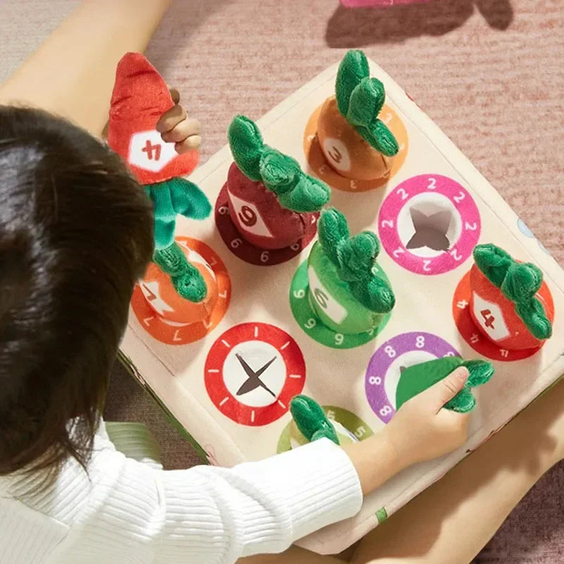 Sensory Carrots – Feeling & Picking - Sensory Toys