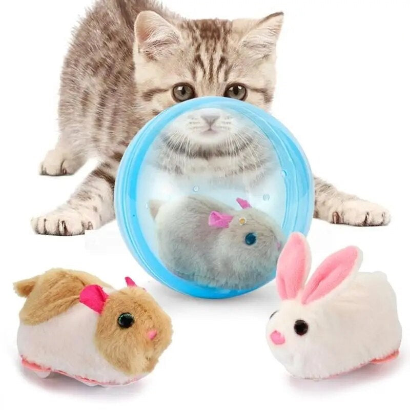 ZoomZing™ | Interactive Ball for Pets