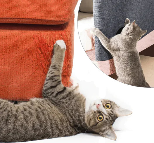 PurrProtec™ | For Scratch-Free Furniture