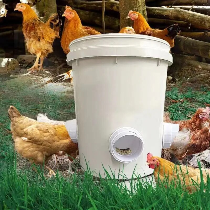 ChickenFeeder⢠| The Ultimate Feeding Solution