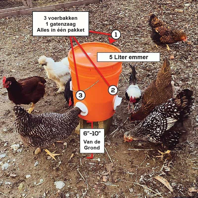 ChickenFeeder⢠| The Ultimate Feeding Solution