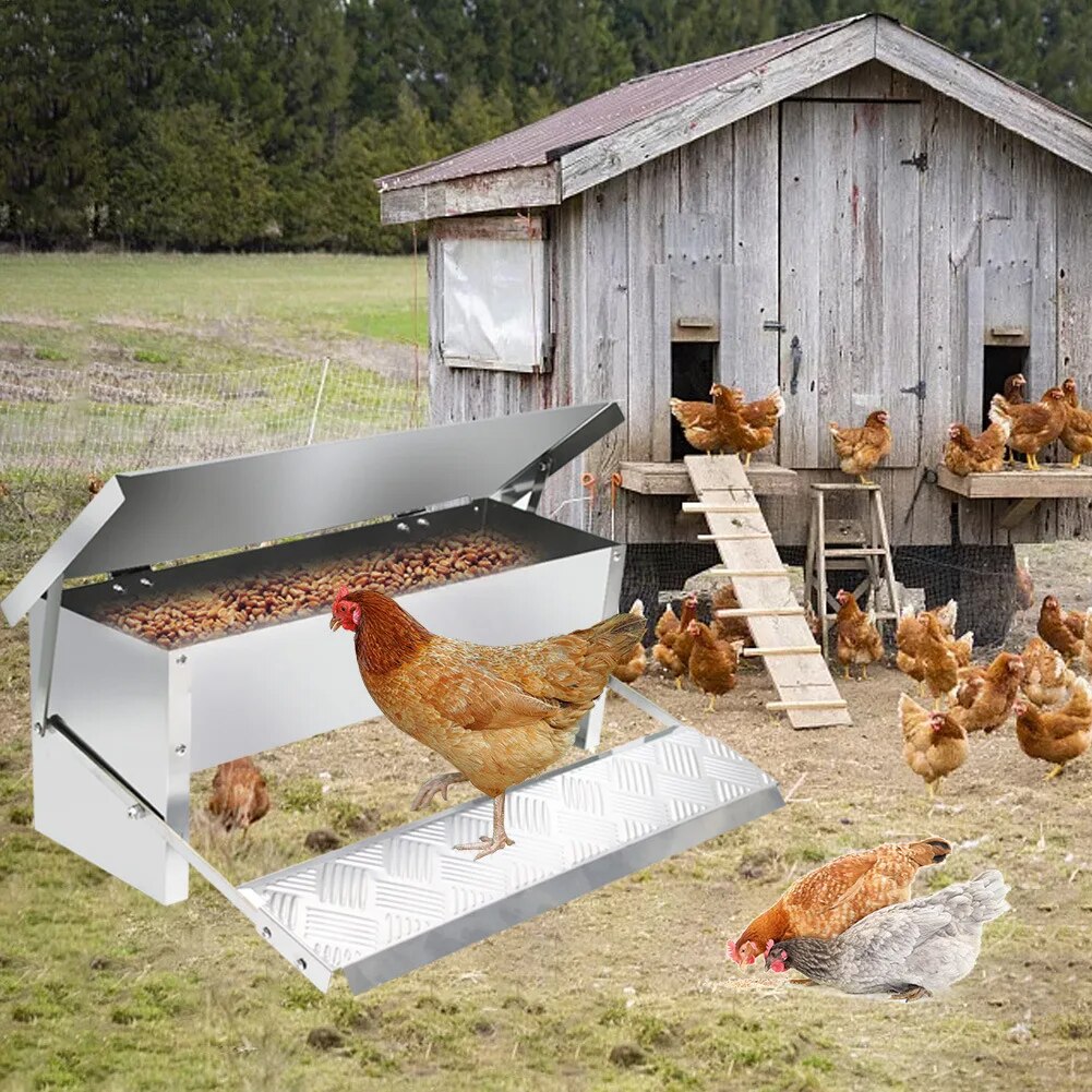 FeedForte™ | Always access to fresh feed