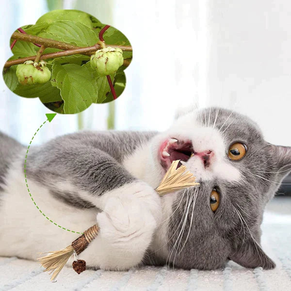 KittyBliss™ | For healthy nails without clipping