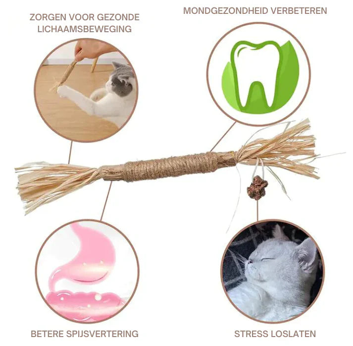 KittyBliss™ | For healthy nails without clipping