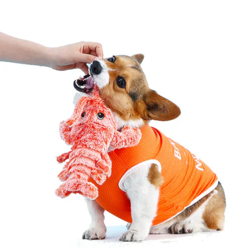 PawLobster™ | Prevent boredom and keep your dog happy