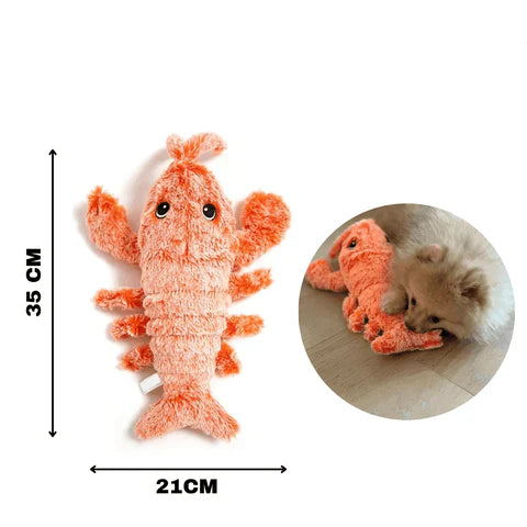 PawLobster™ | Prevent boredom and keep your dog happy