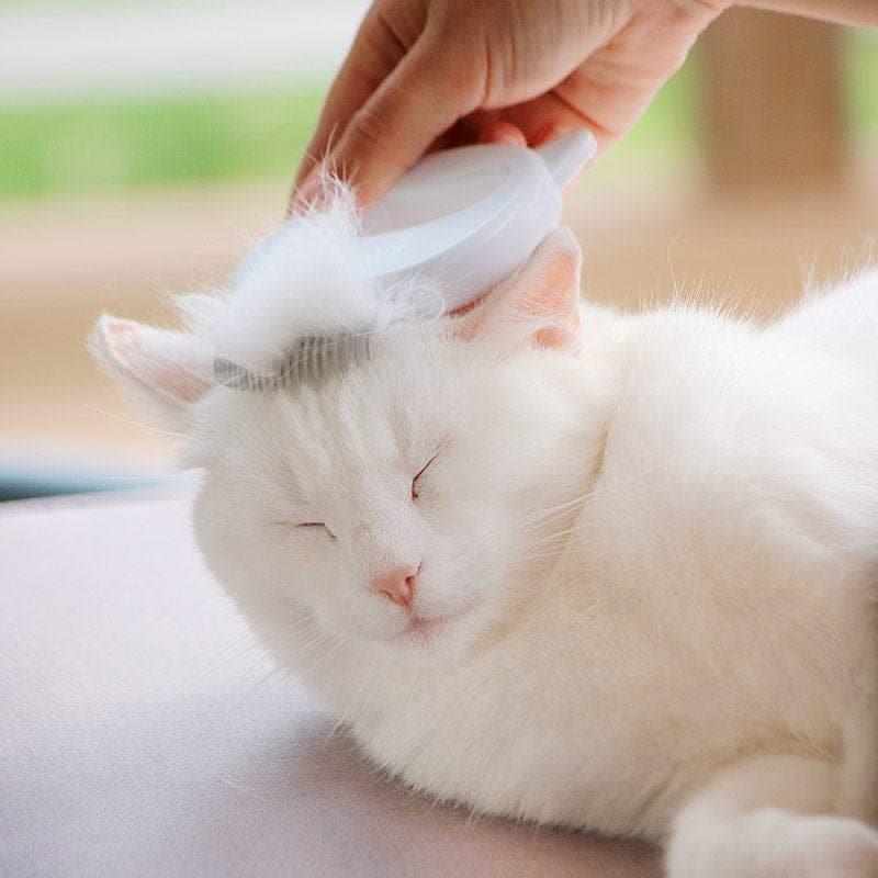 GentlePaws™ | The Ultimate Coat Care