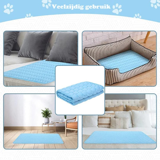 IcyWoof™ | The Best Summer Solution