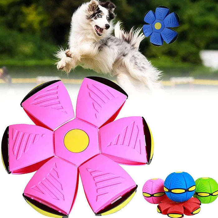 Magicball™ | Prevent Fear Through Healthy Exercise