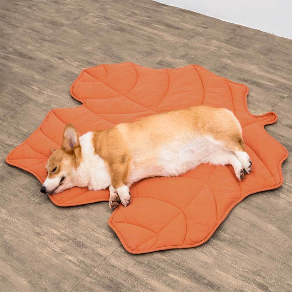PetLeaf™ | Calming Orthopaedic Blanket