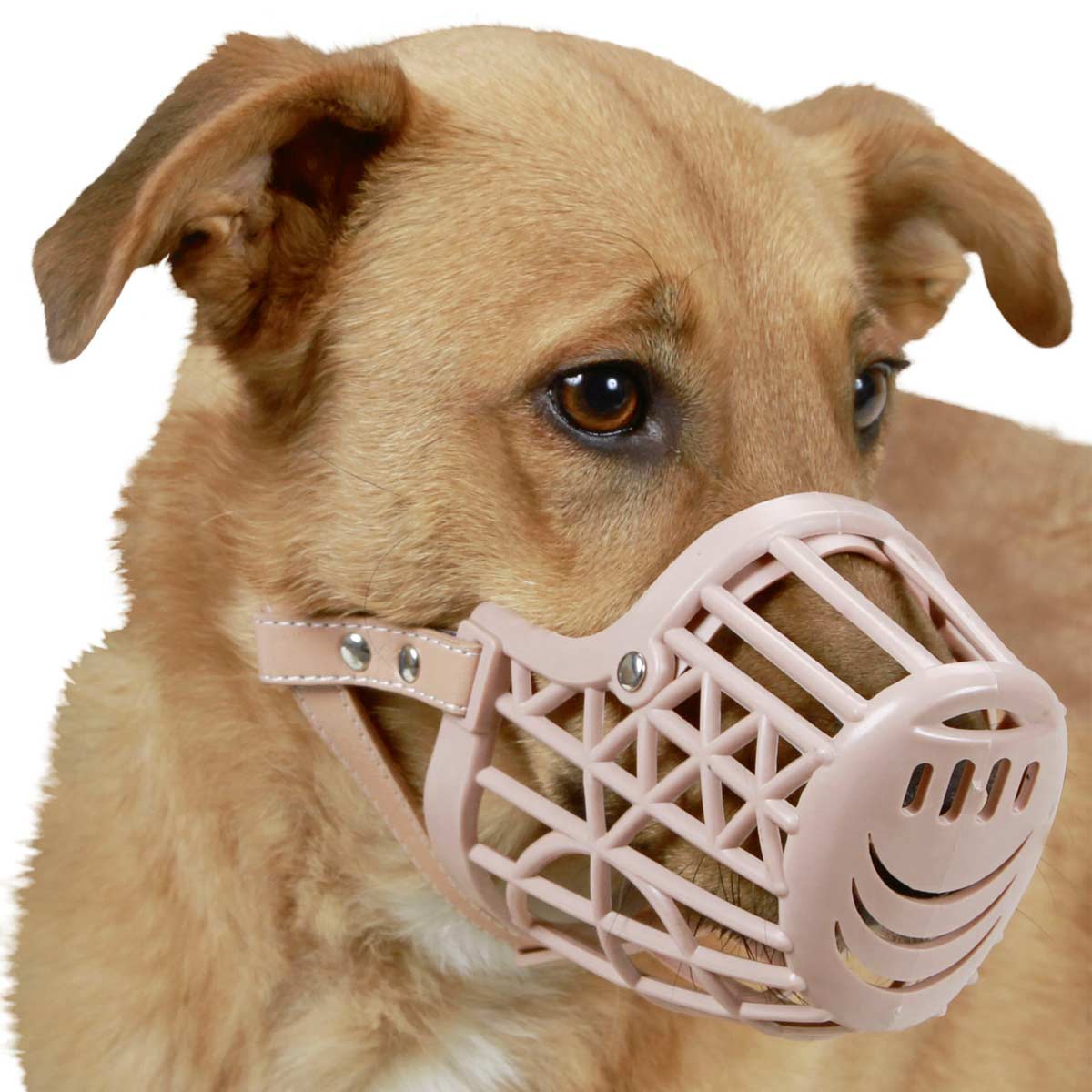 SnoutFit™ | Adjustable and Effective Against Biting and Barking