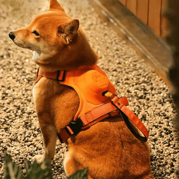 SmartWalk™ | No more stress from pulling dogs