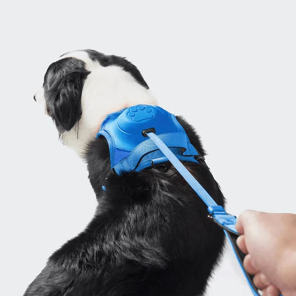 SmartWalk™ | No more stress from pulling dogs