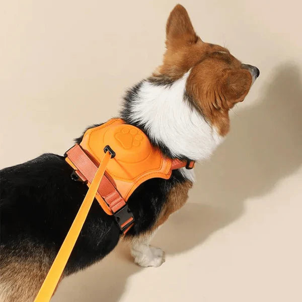 SmartWalk™ | No more stress from pulling dogs