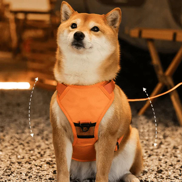 SmartWalk™ | No more stress from pulling dogs