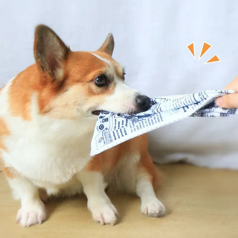 ChewPaper™ | Bite-Resistant Newspaper Entertainment