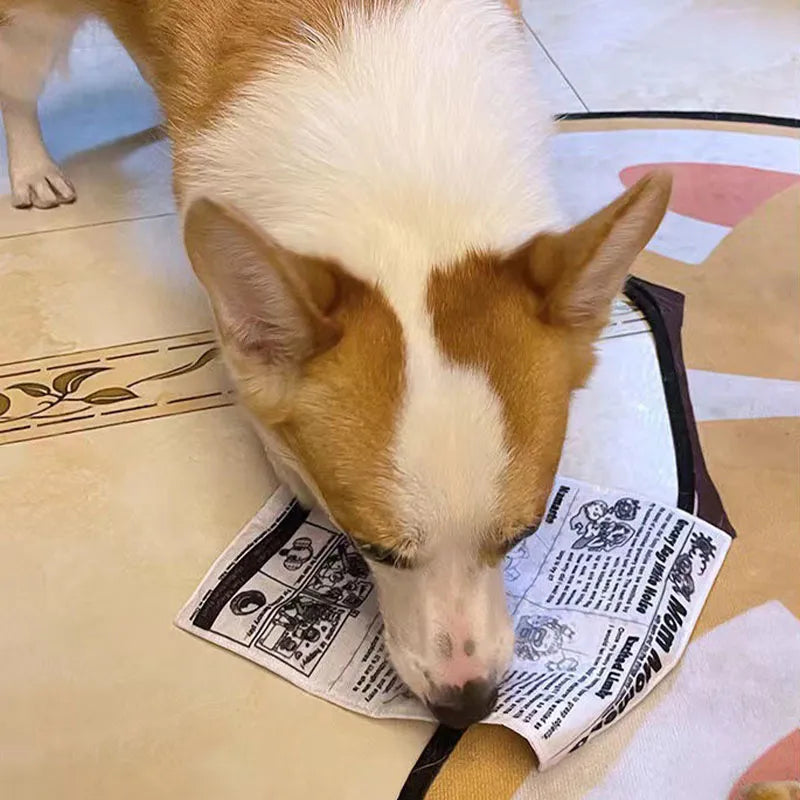 ChewPaper™ | Bite-Resistant Newspaper Entertainment
