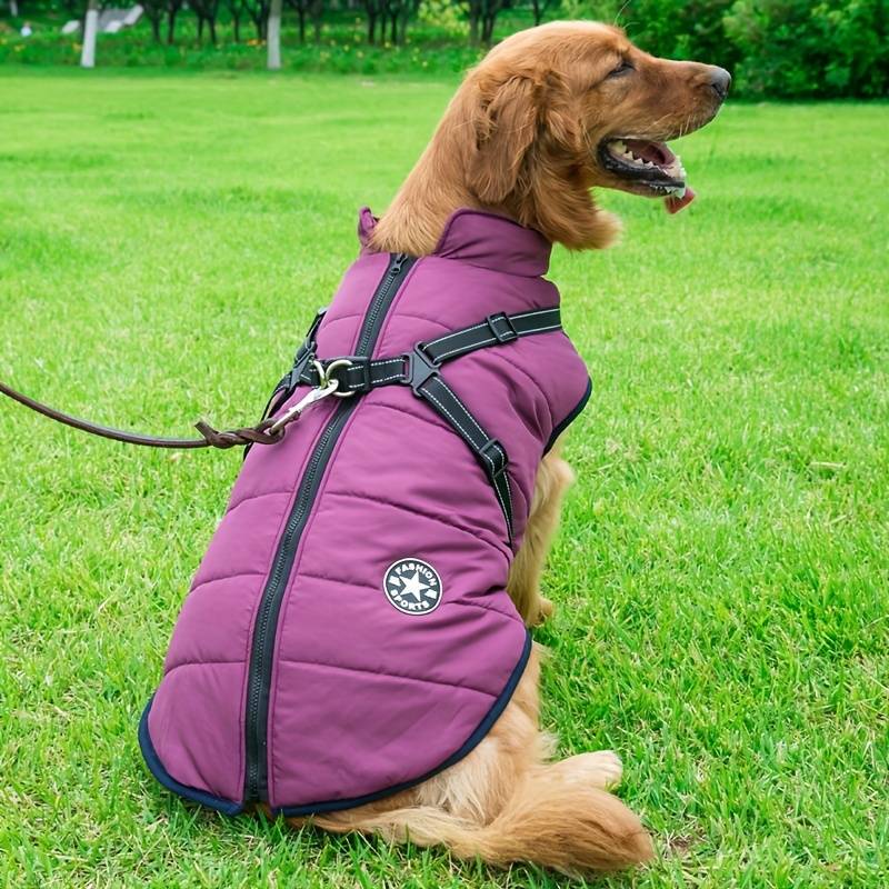 PawsDry™ | Keep Your Dog Warm and Dry