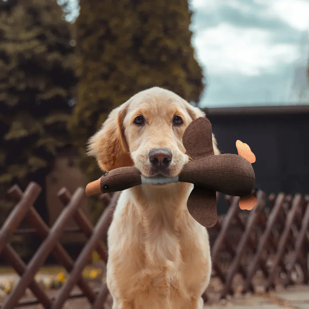 ChewDuck™ | The Ultimate Chew Toy