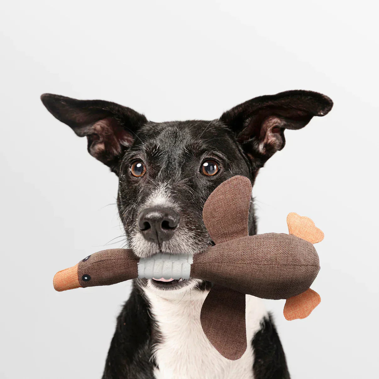 ChewDuck™ | The Ultimate Chew Toy