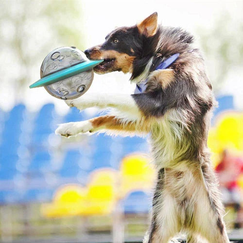 Pawsome™ | UFO Slow Feeder Toy