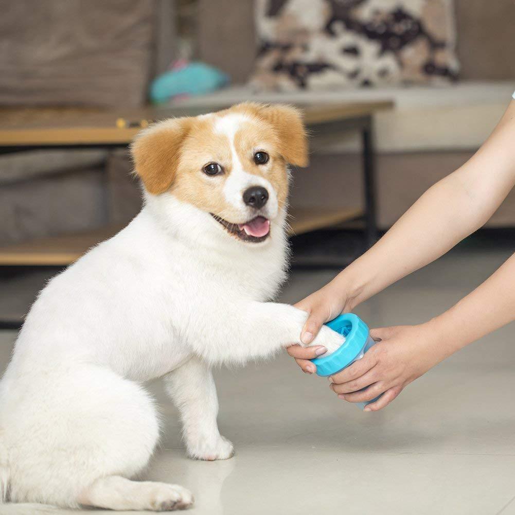 PawsPal™ | Never stress over dirty paws in the house again