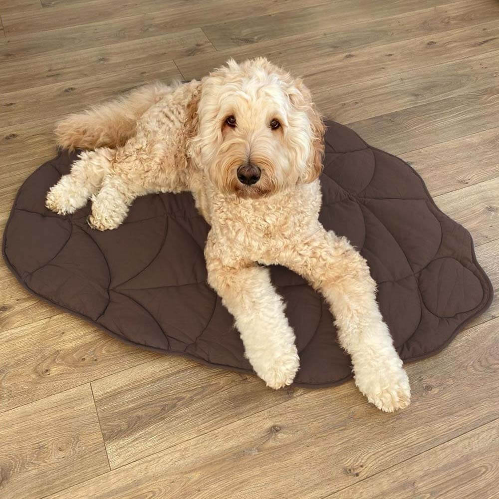 PetLeaf™ | Calming Orthopaedic Blanket